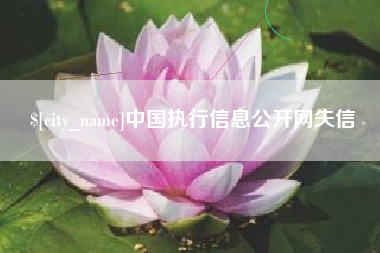 睢县中国执行信息公开网失信