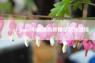 睢县中国消防救援学院分数线