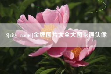 睢县金牌图片大全大图卡通头像