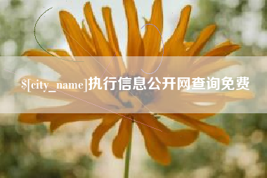睢县执行信息公开网查询免费