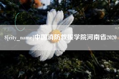 睢县中国消防救援学院河南省2020